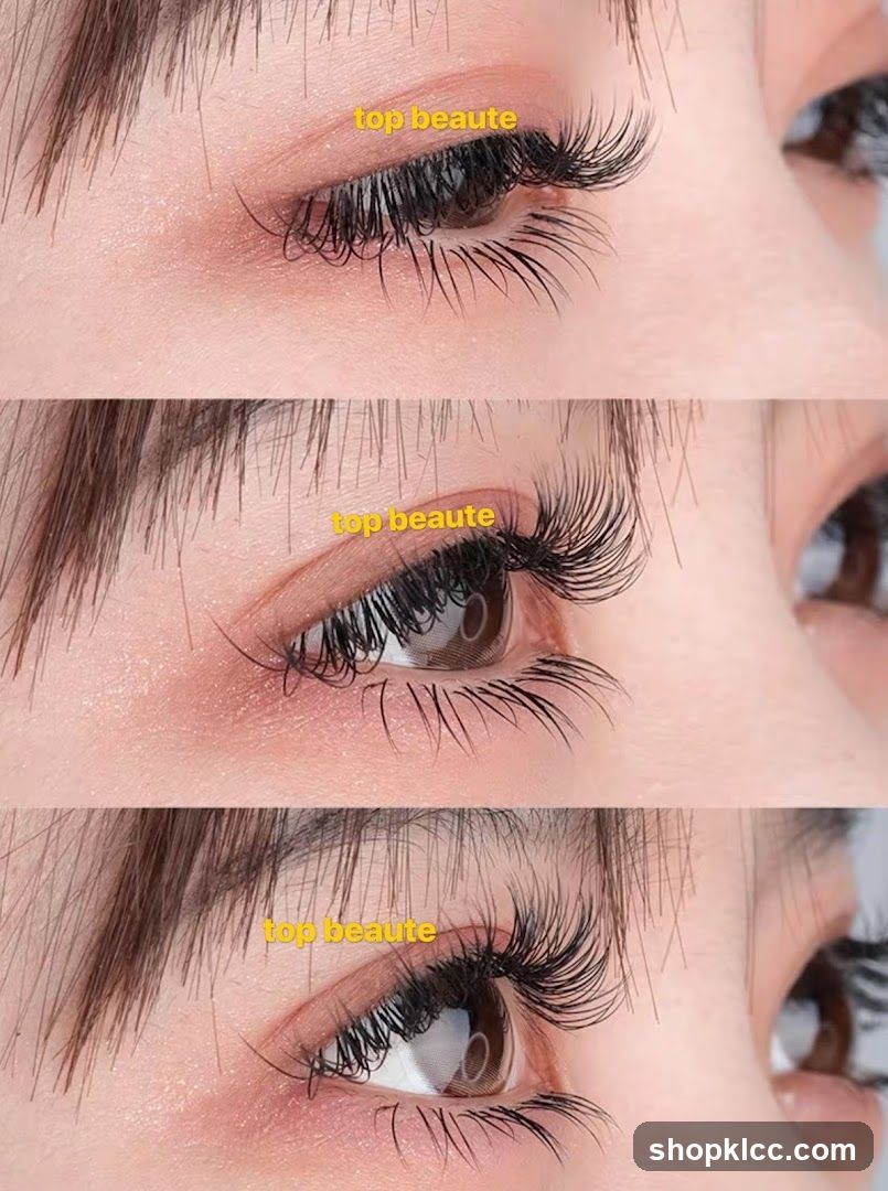 Top Beaute Eye Makeup
