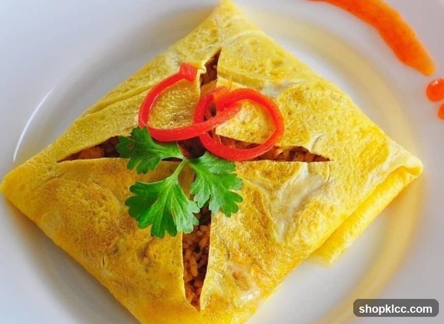 Omelette with Rice and Garnish