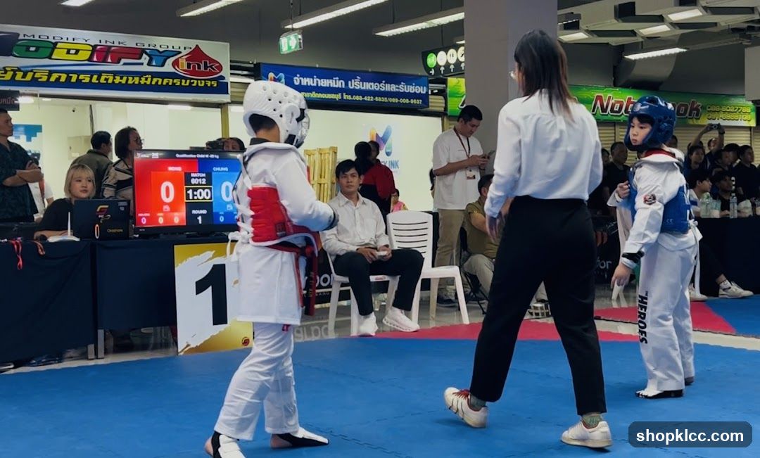 Taekwondo Match