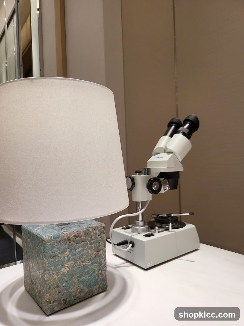 Microscope and Lamp
