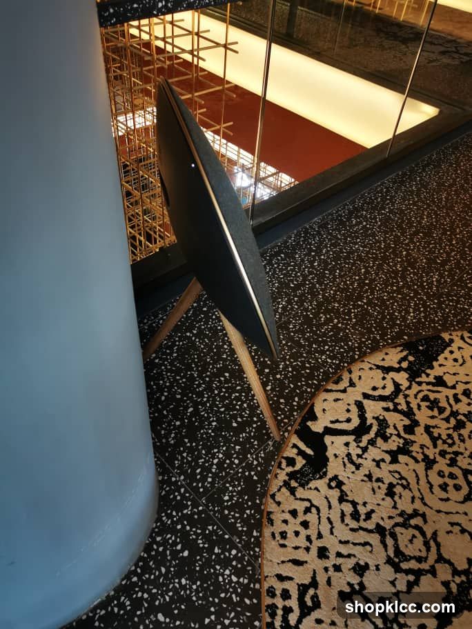 Modern Speaker and Rug