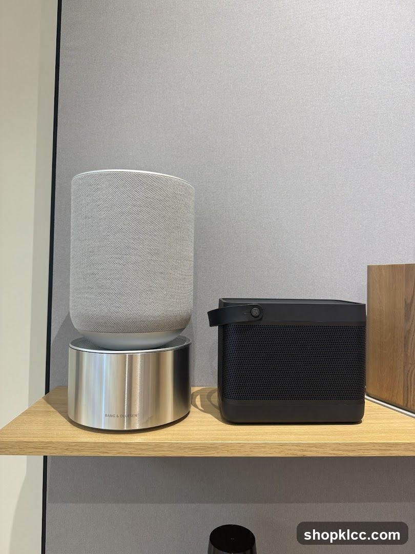 Bang & Olufsen Speakers