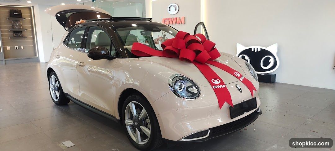 Car with a large red bow
