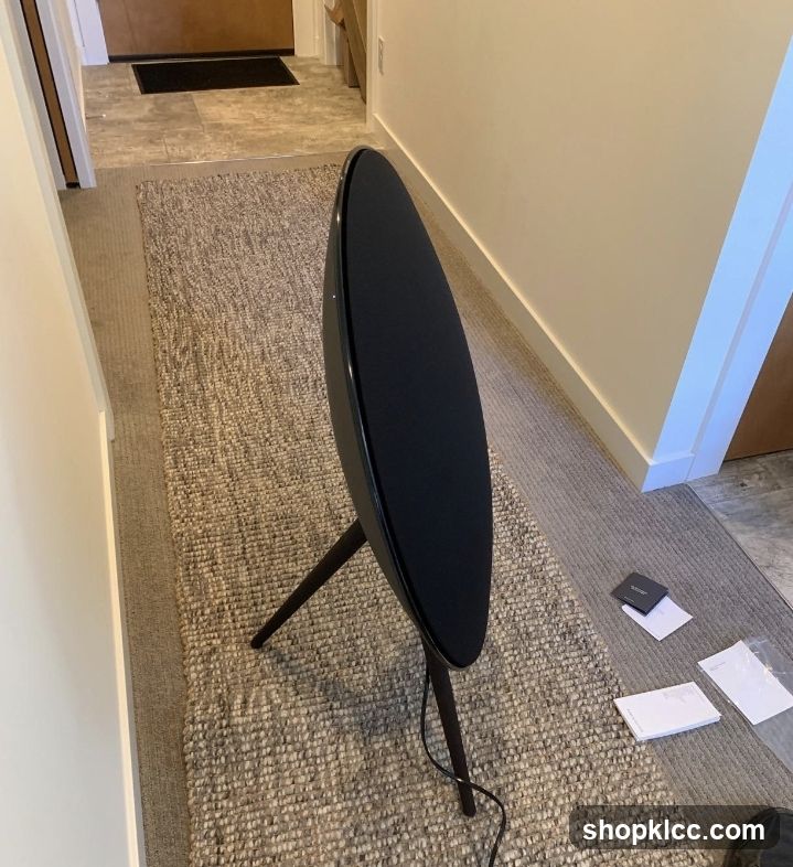 Speaker on a Rug