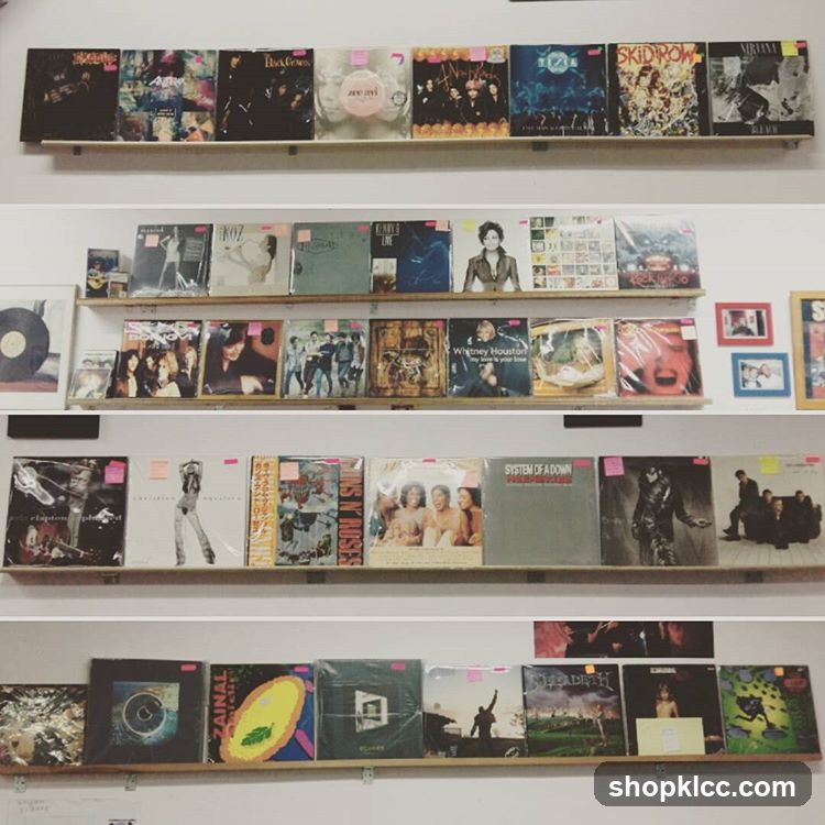 Record Store Shelves
