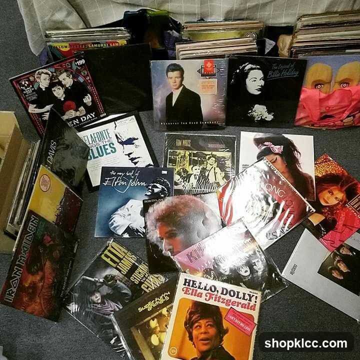 Collection of Vinyl Records