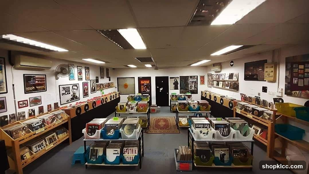 Record Store Interior