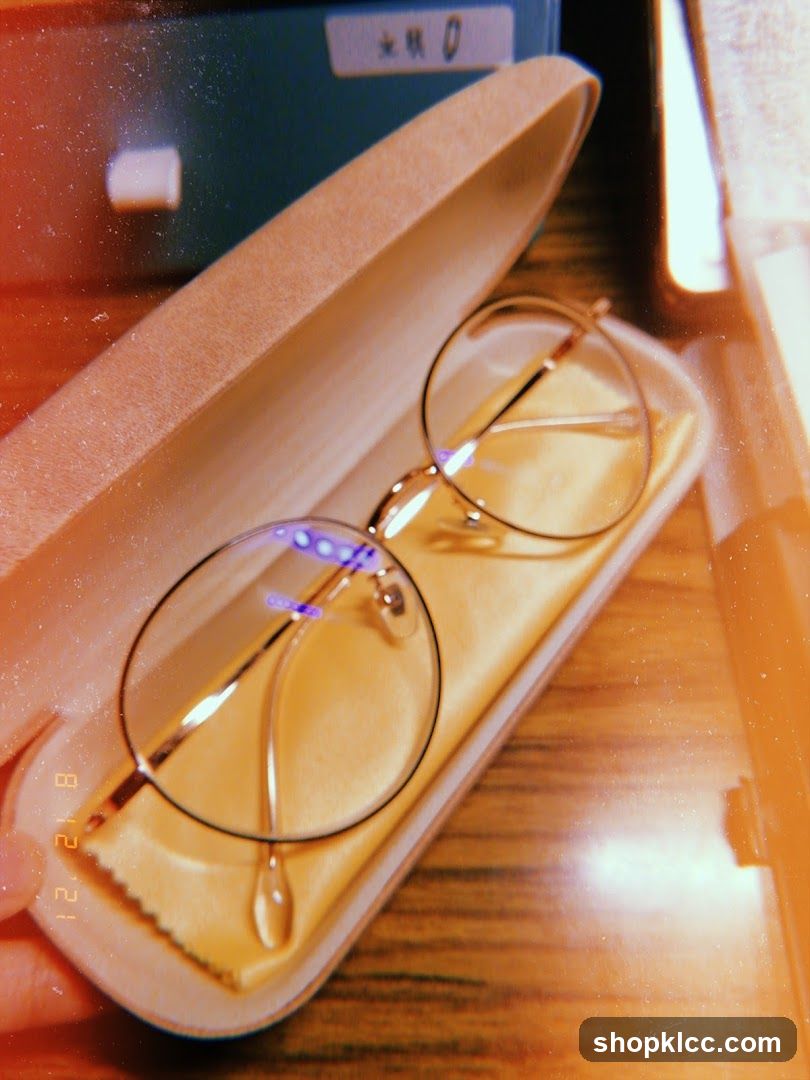 Eyeglasses in Case