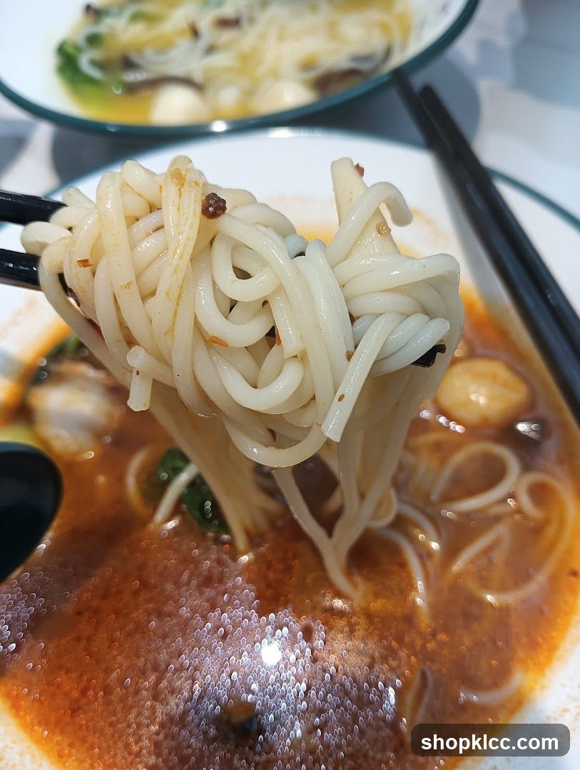 Noodles in Broth