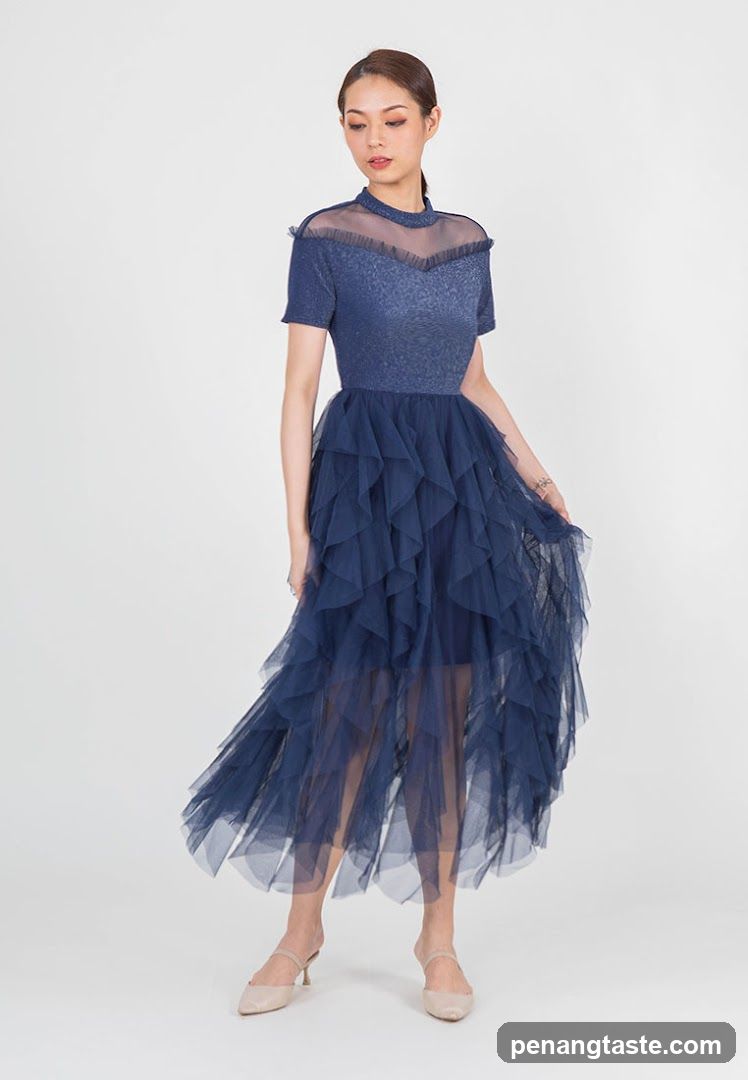 Woman in a Blue Tulle Dress