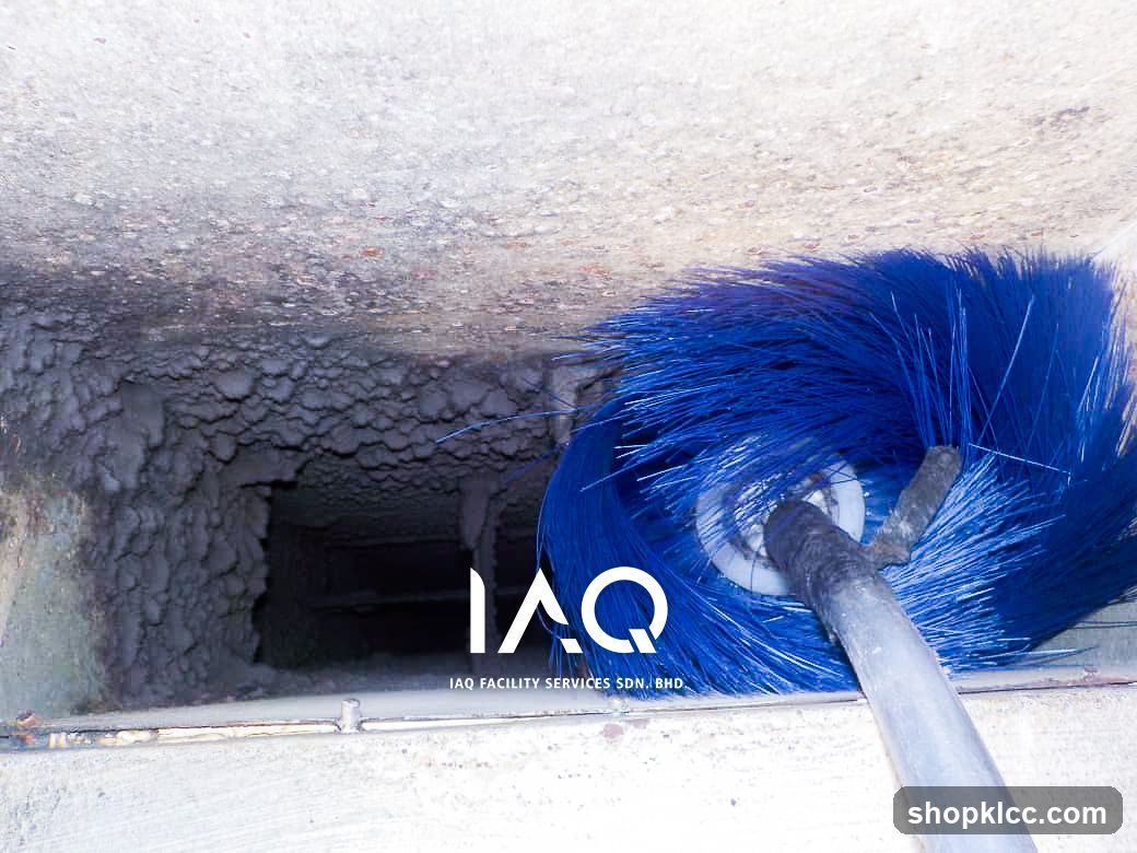 Drain Cleaning with Blue Bristle Brush