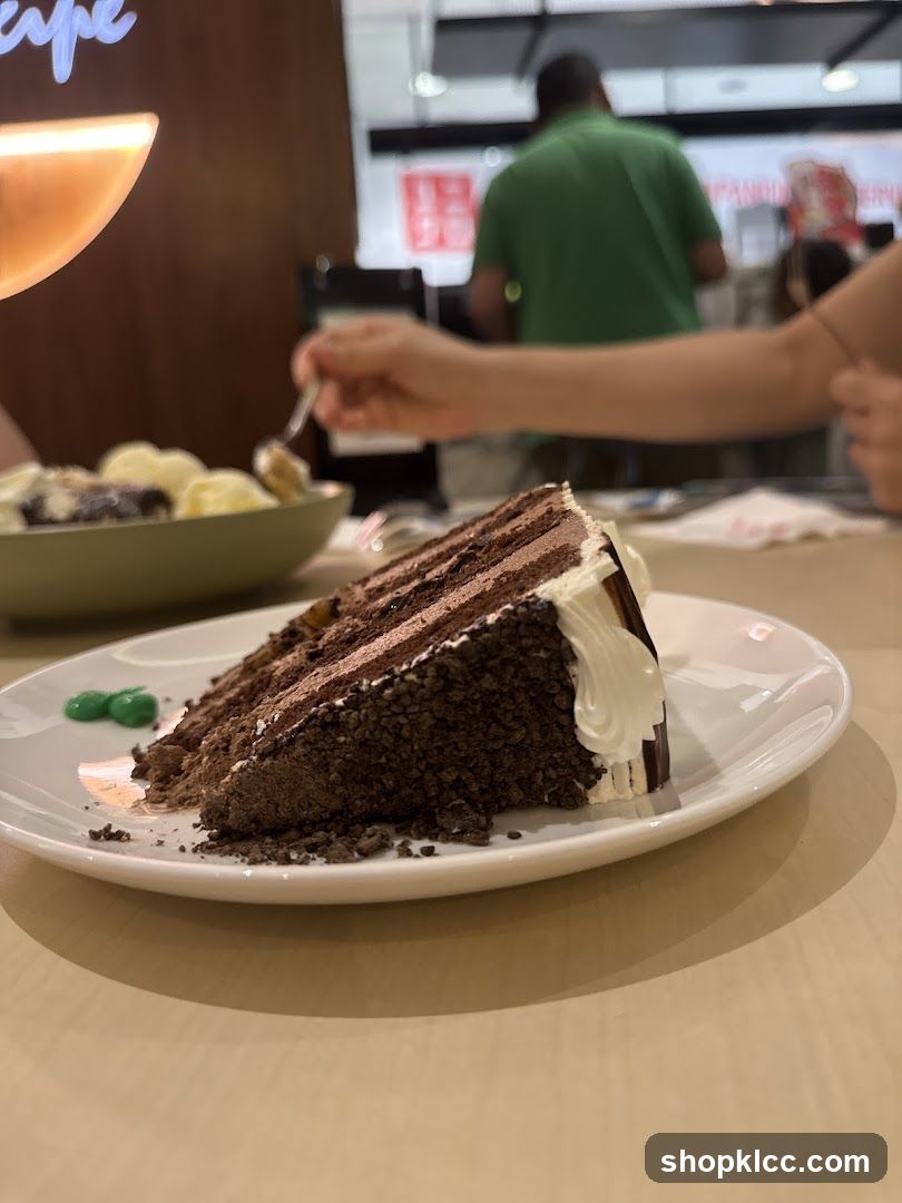Chocolate Cake Slice