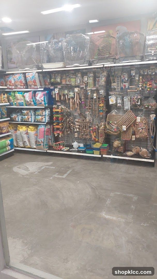 Pet Store Interior