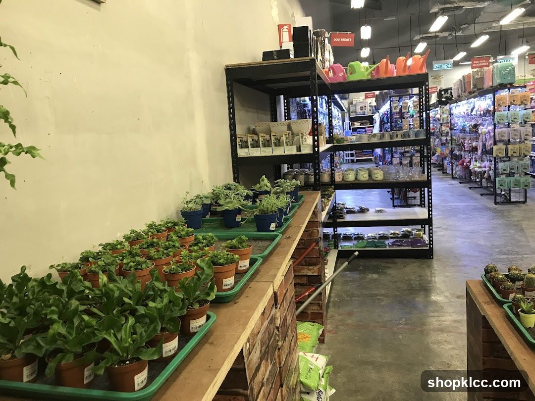 Indoor plant and pet supply store