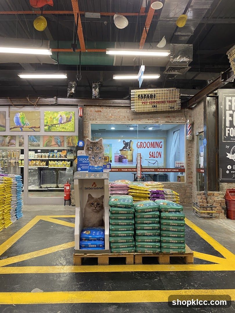 Pet Store Interior