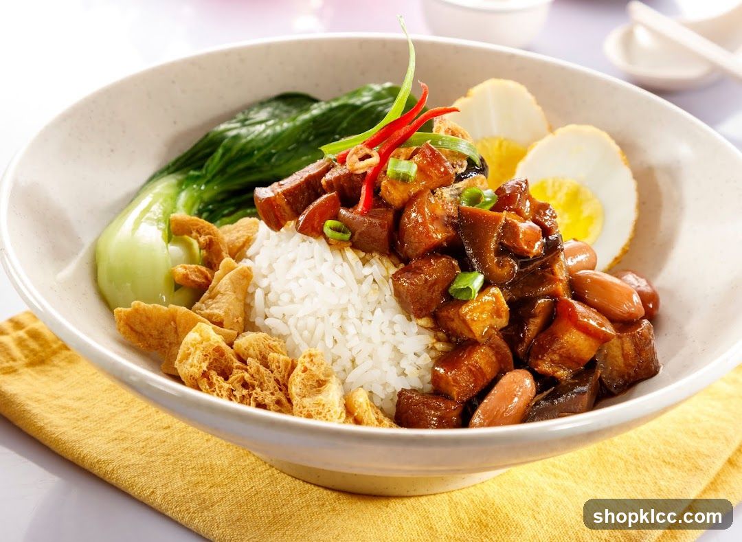 Braised Pork Rice Bowl