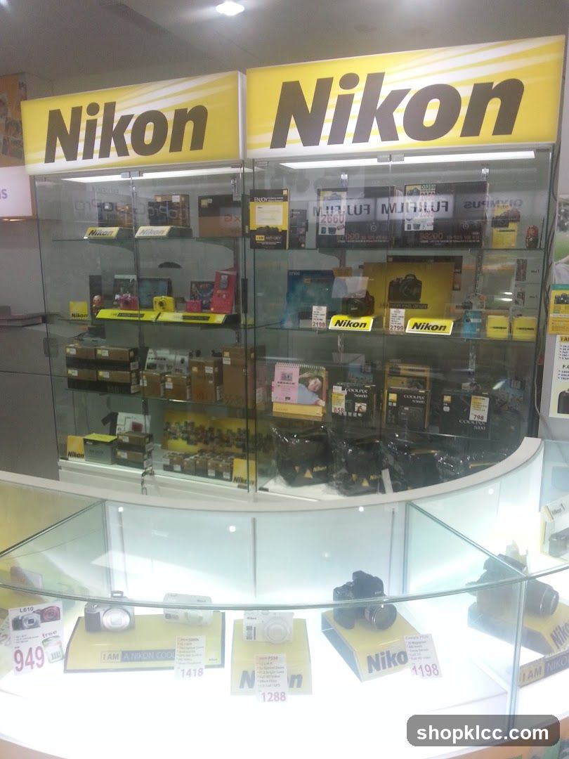 Nikon Camera Display