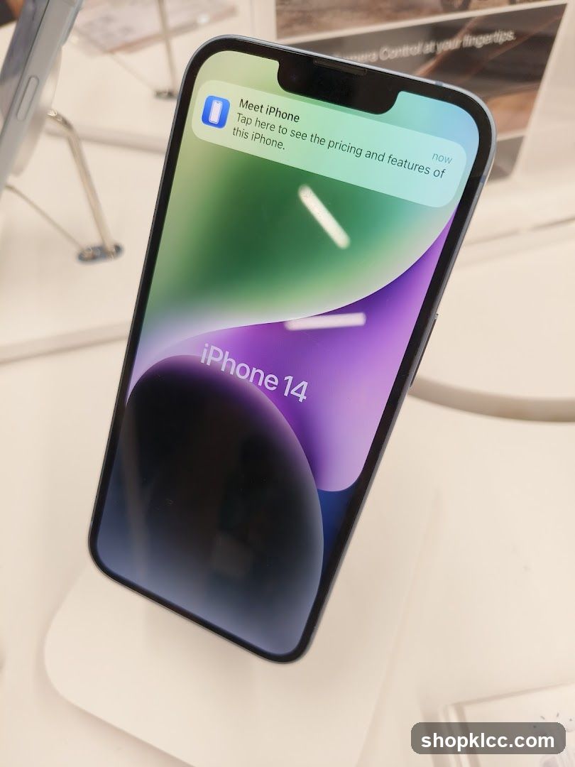 iPhone 14 Display