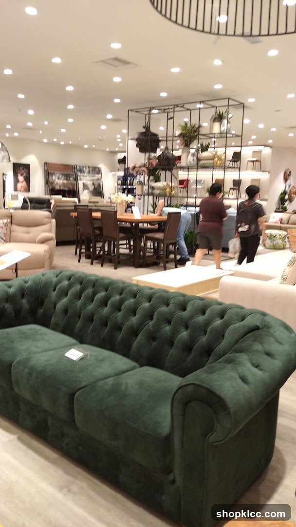 Furniture Store Interior