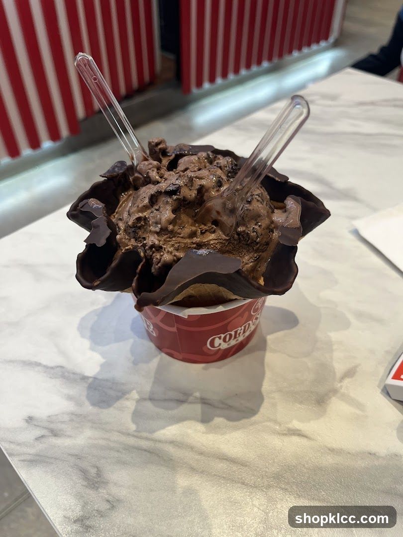 Chocolate Ice Cream Sundae
