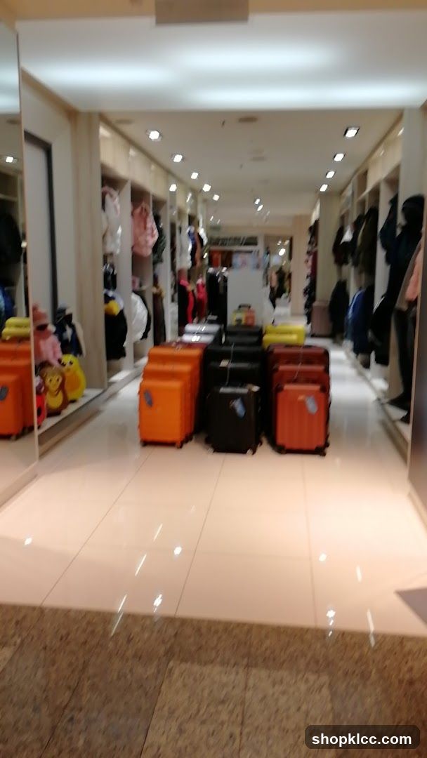 Luggage and Apparel Display
