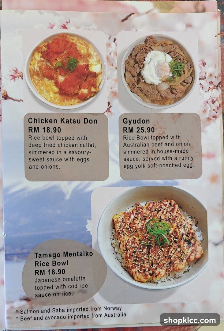 Japanese Rice Bowls