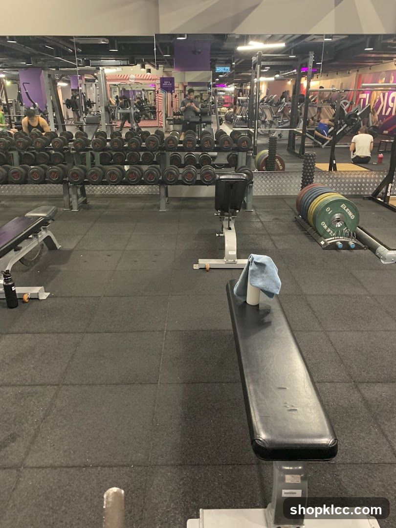 Gym Interior with Dumbbells and Benches
