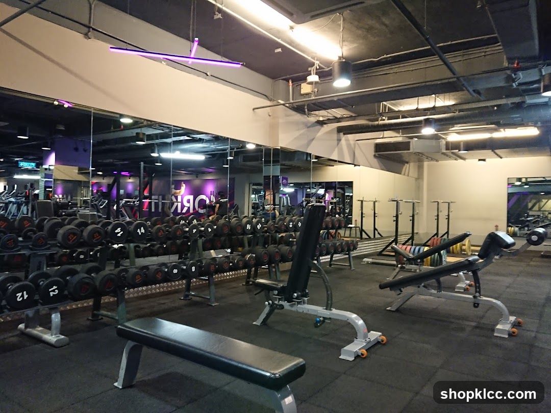 Gym Interior with Dumbbells and Benches