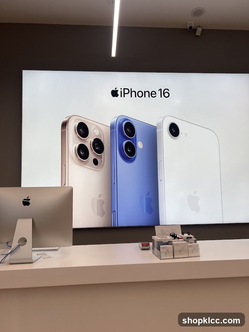 iPhone 16 Display