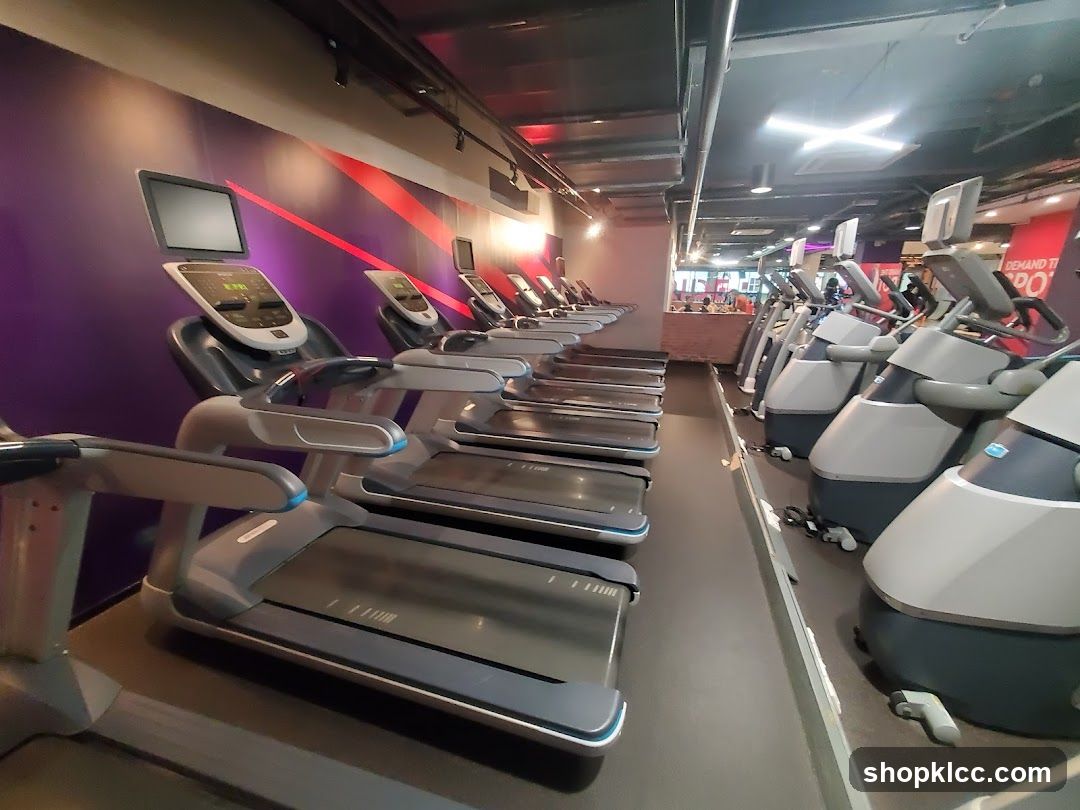 Gym Treadmills and Elliptical Machines