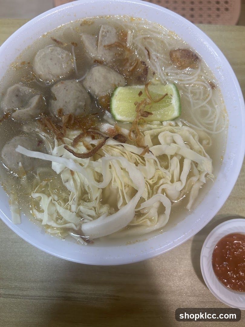 Bowl of Noodle Soup
