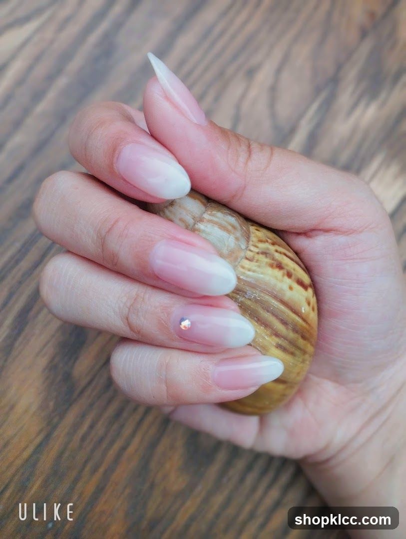 Nails and Snail Shell