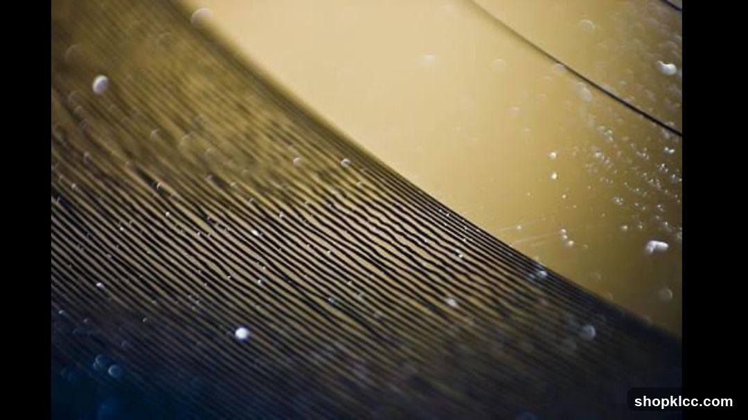Close-up of a Feather