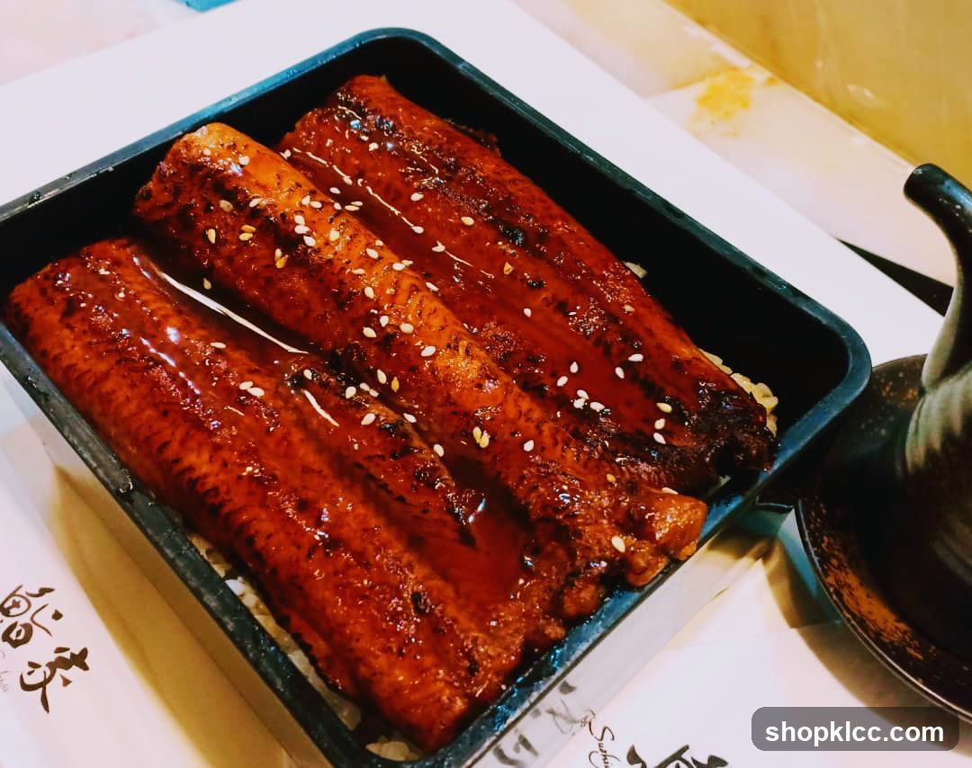 Eel Rice Bowl