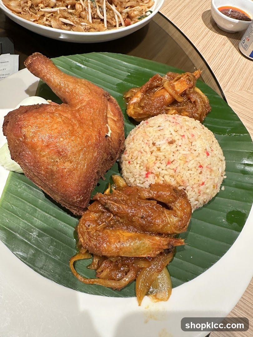 Fried Chicken and Rice Platter