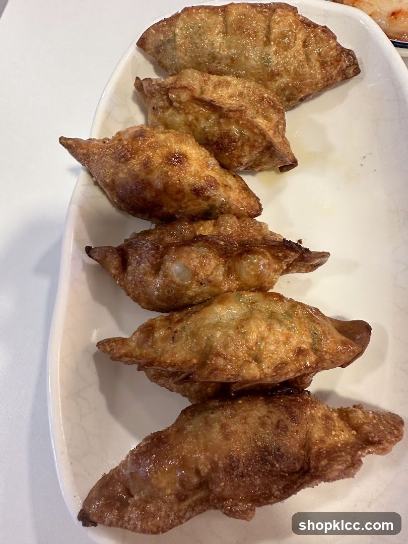 Fried Dumplings on a Plate