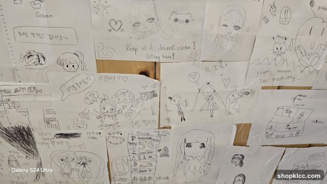 Fan Art Display