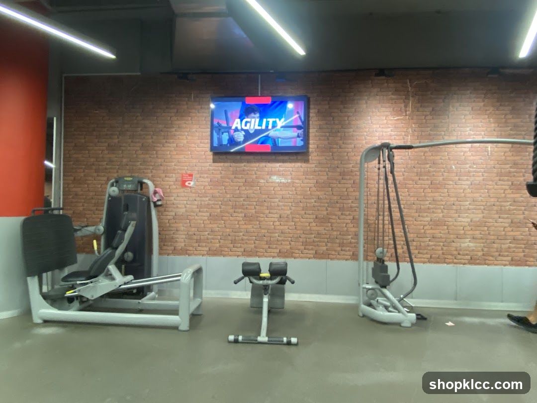 Gym Equipment