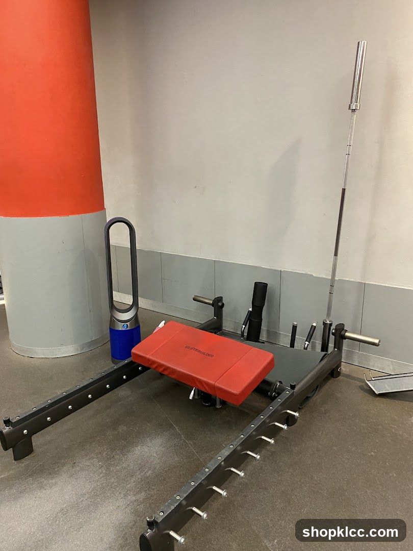 Gym Equipment