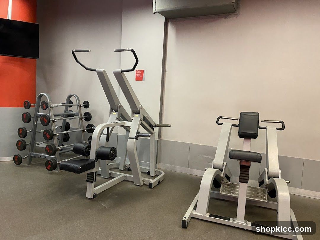 Gym Equipment
