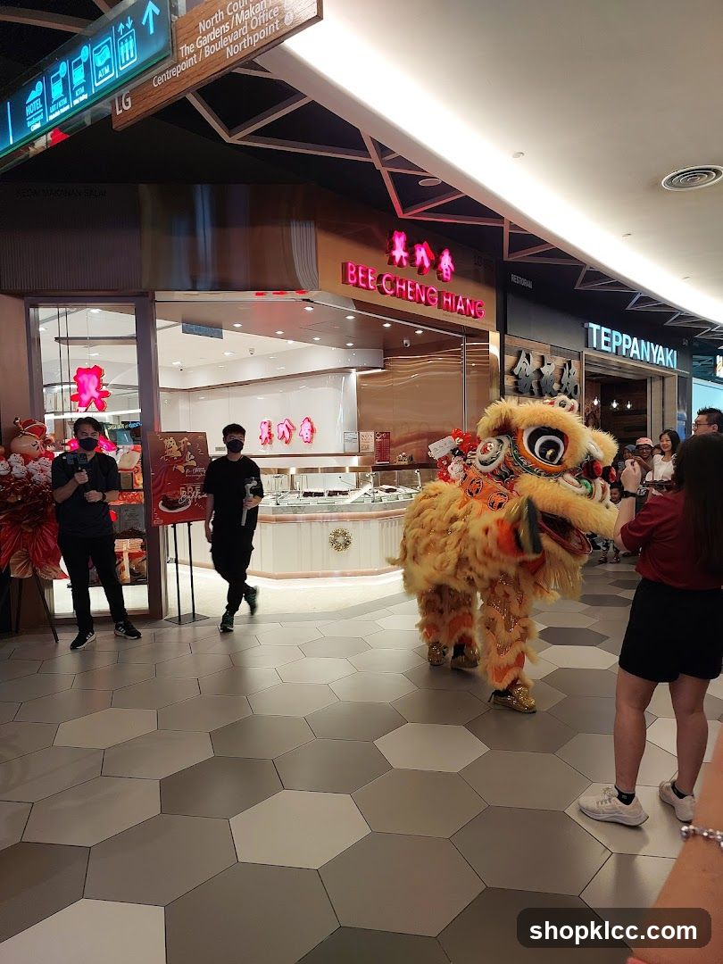 Lion Dance Performance
