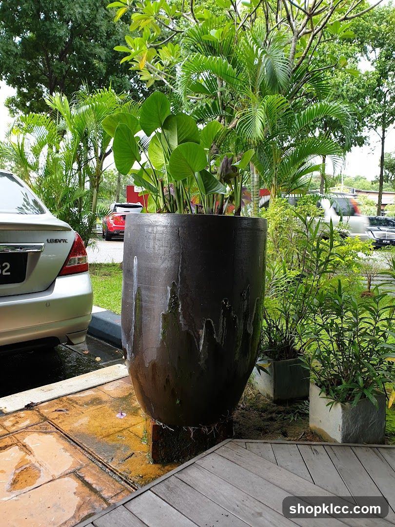Outdoor Plant Display with Cars in Background