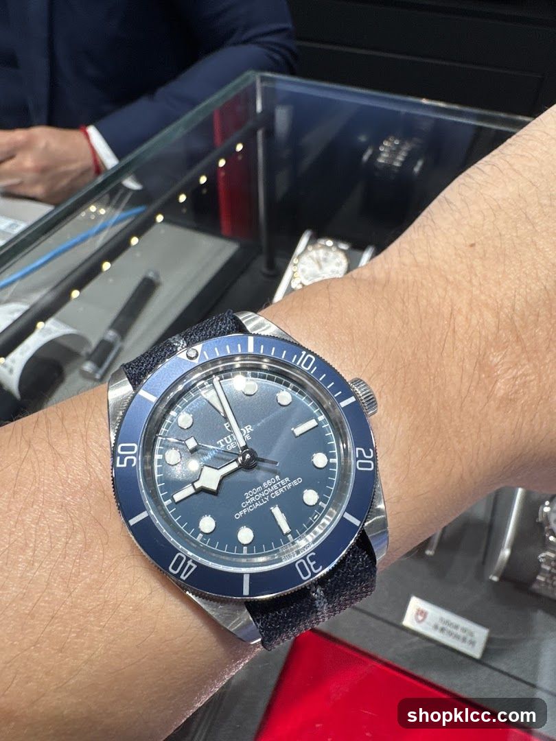 Tudor Watch on Wrist