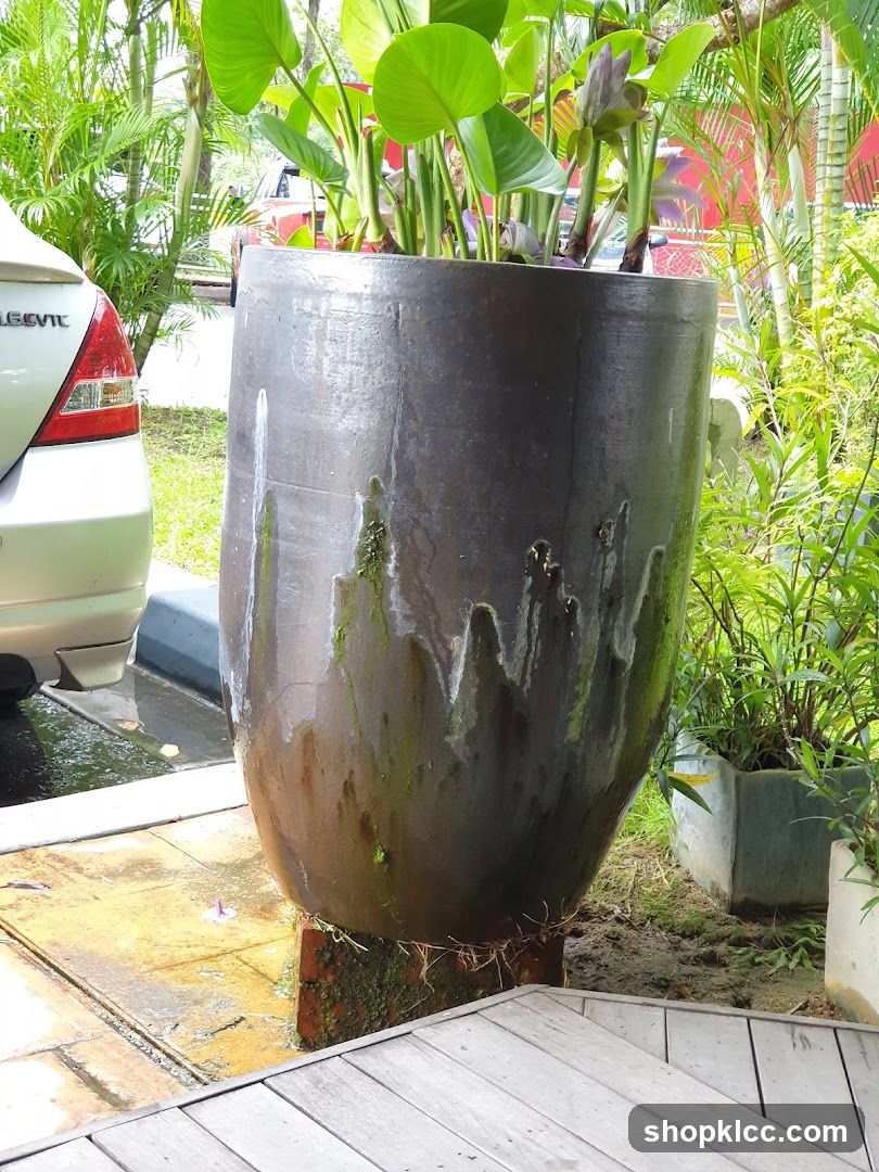 Outdoor Planter with Greenery