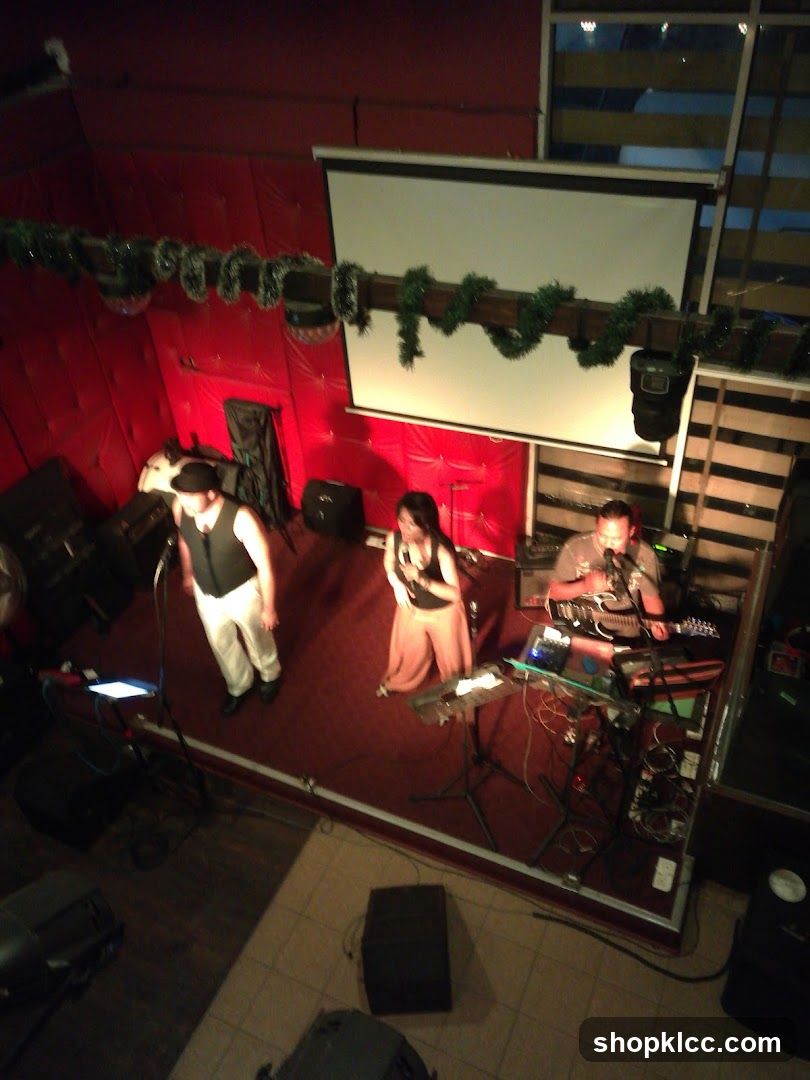 Live Band Performance