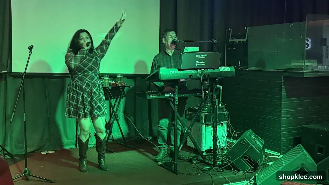 Live Music Performance
