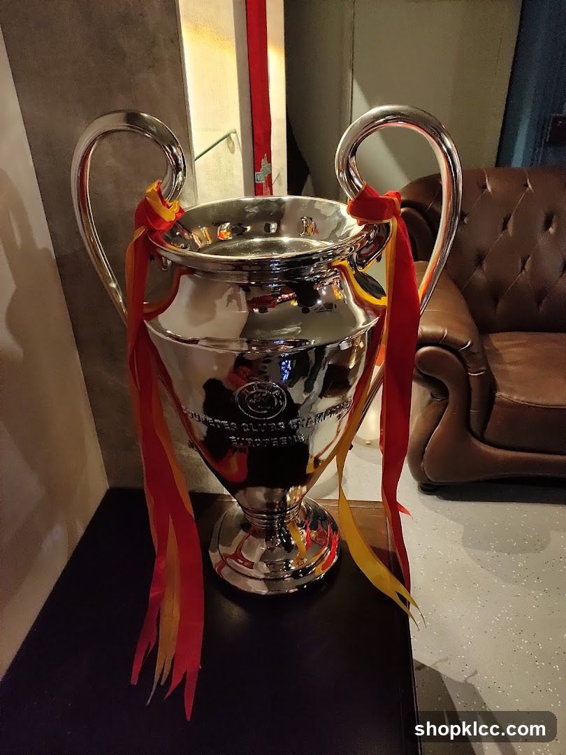 Champions League Trophy Display