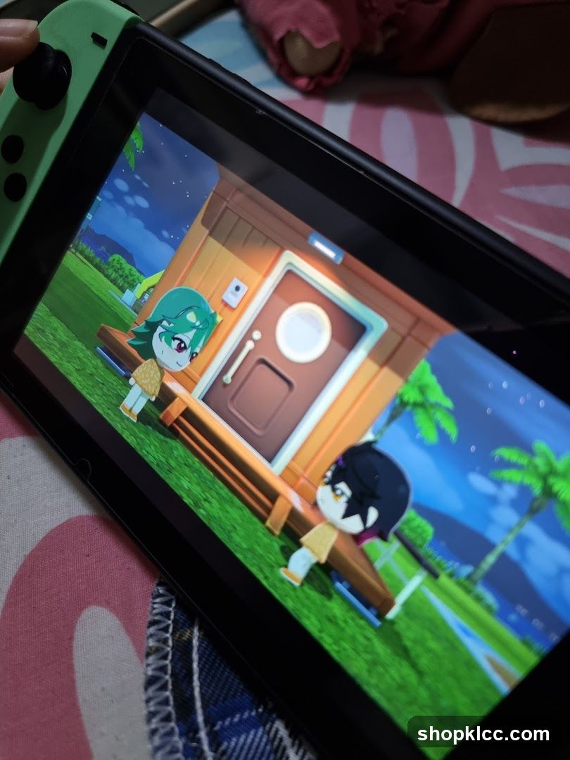 Nintendo Switch Game Screen
