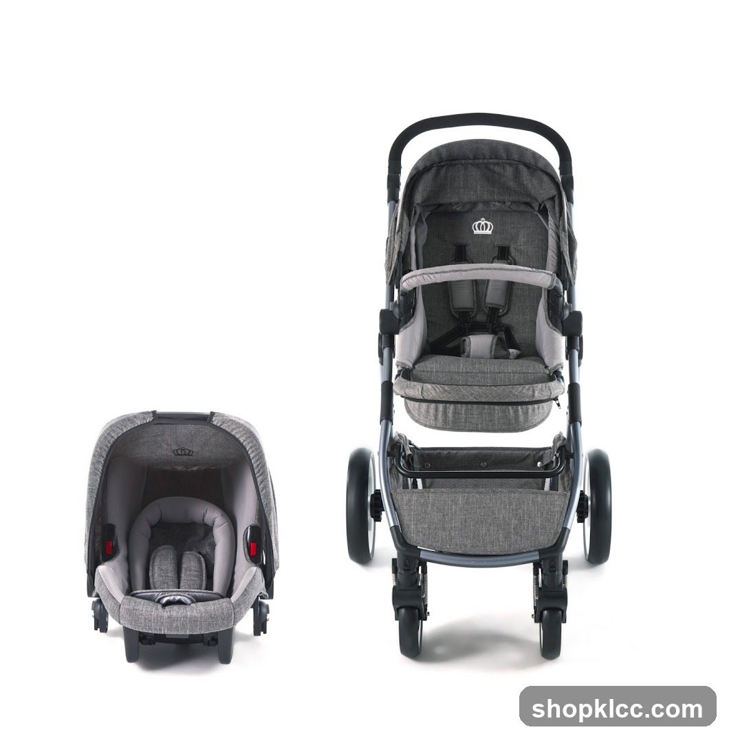 Baby Travel System