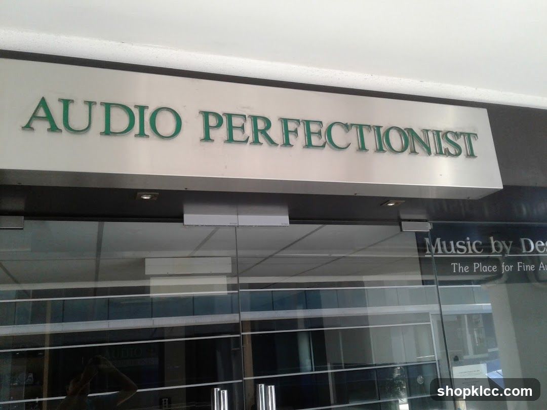 A metal sign with green lettering that reads "AUDIO PERFECTIONIST" is mounted above a glass storefront. Reflections in the glass show the interior of the store and a person taking a photo. To the right of the main sign, smaller text on the glass reads "Music by Des... The Place for Fine Au...".